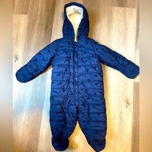 Dinosaur Snowsuit
